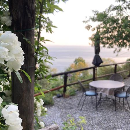 Villa Pietrafiore Monterosso al Mare Eksteriør billede