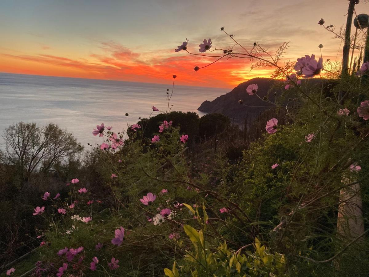 Villa Pietrafiore Monterosso al Mare Eksteriør billede