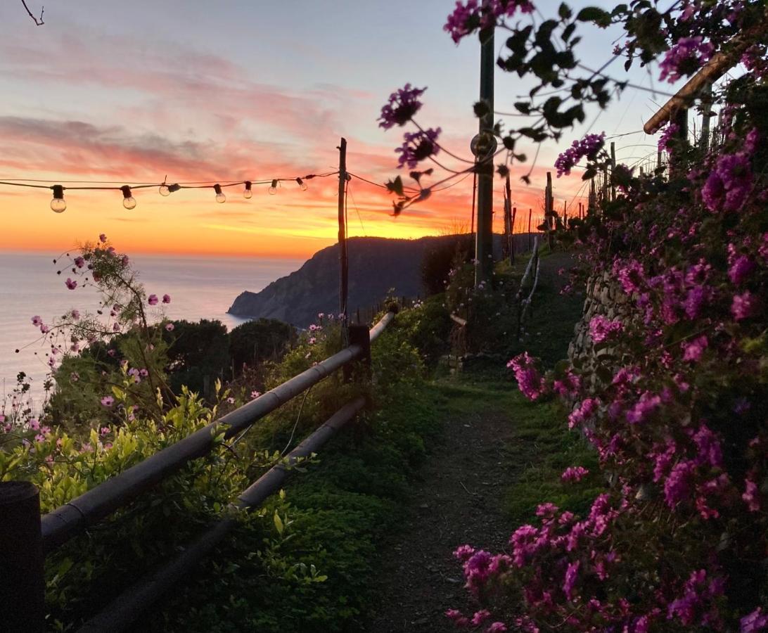 Villa Pietrafiore Monterosso al Mare Eksteriør billede