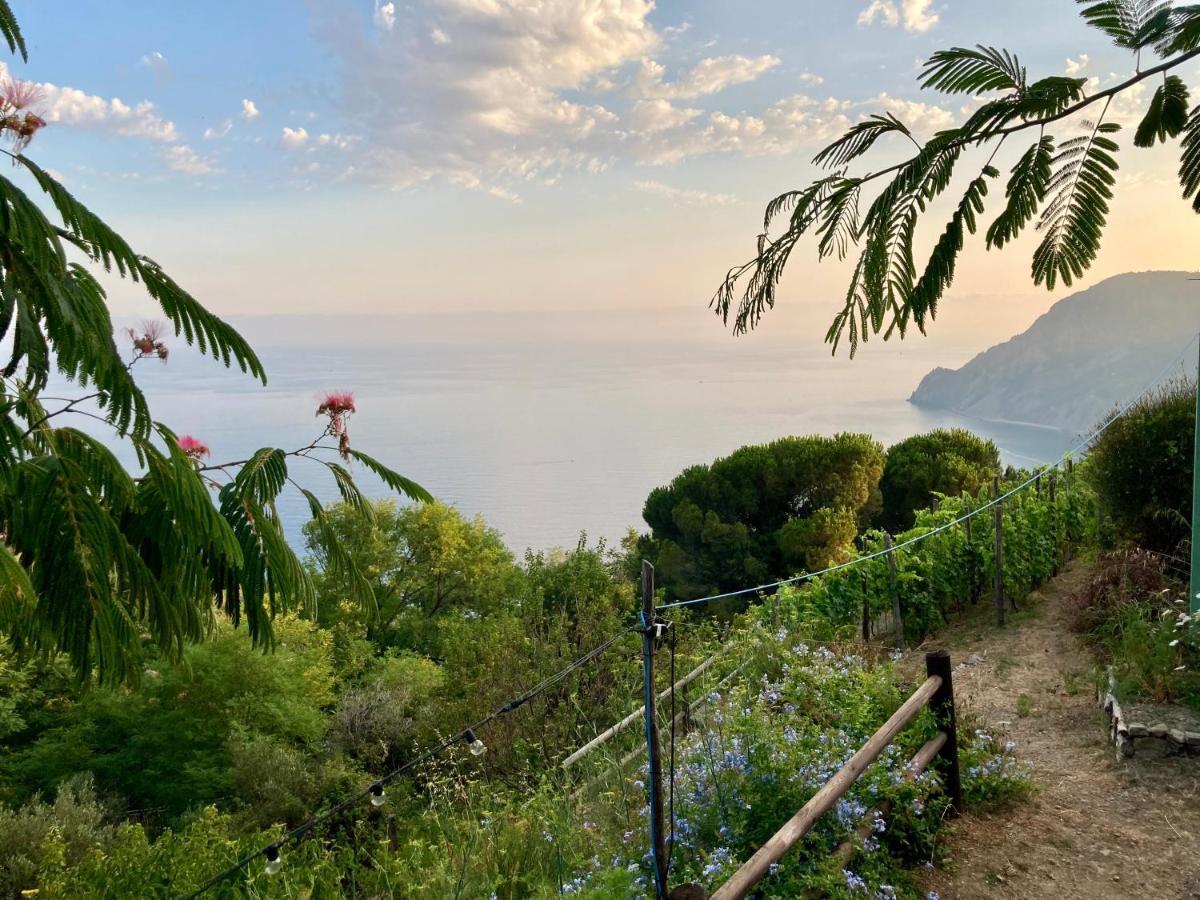 Villa Pietrafiore Monterosso al Mare Eksteriør billede