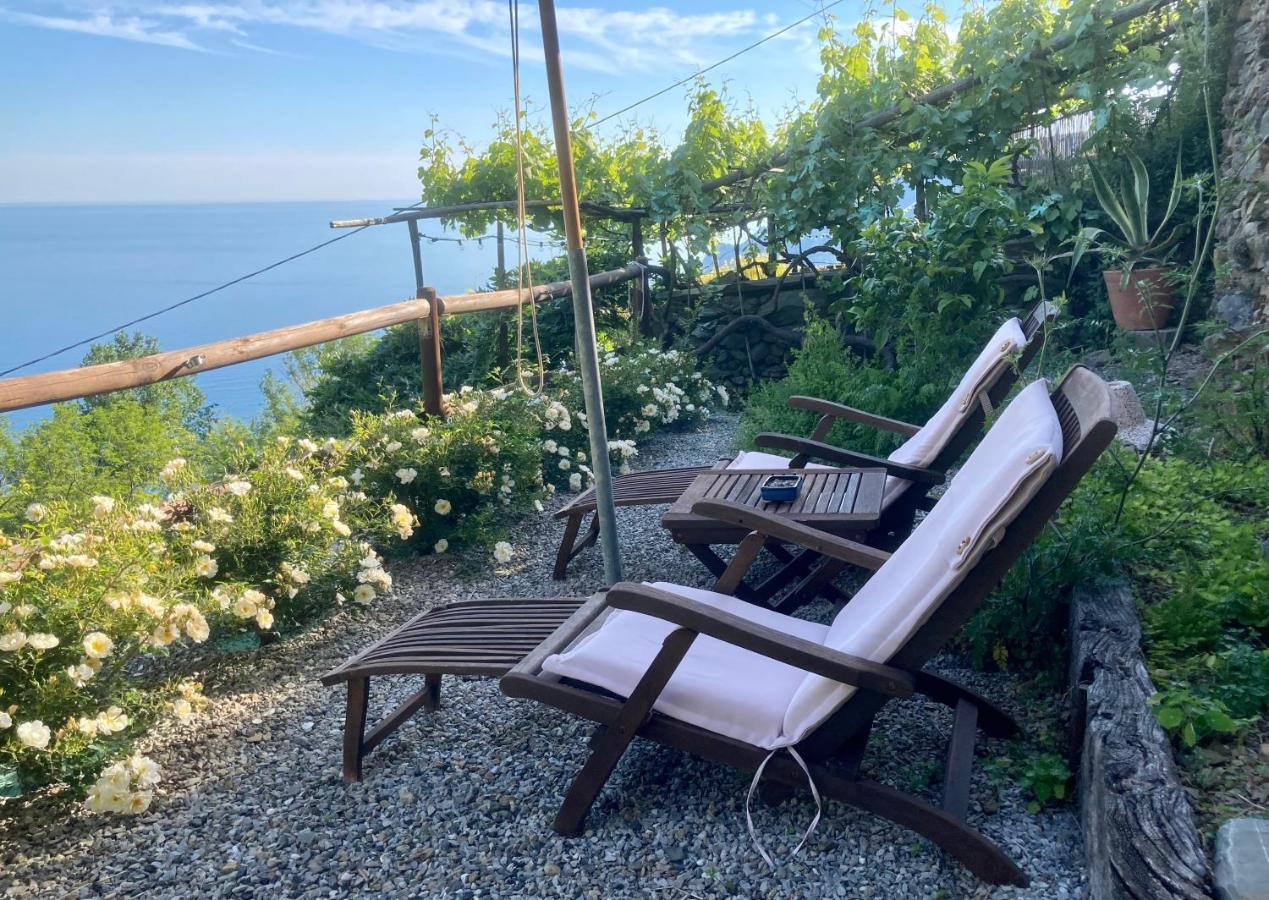 Villa Pietrafiore Monterosso al Mare Eksteriør billede