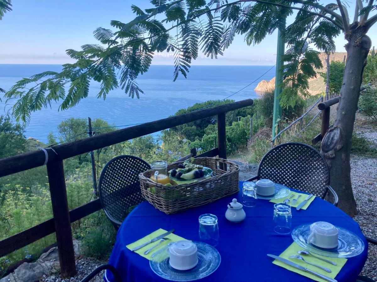 Villa Pietrafiore Monterosso al Mare Eksteriør billede