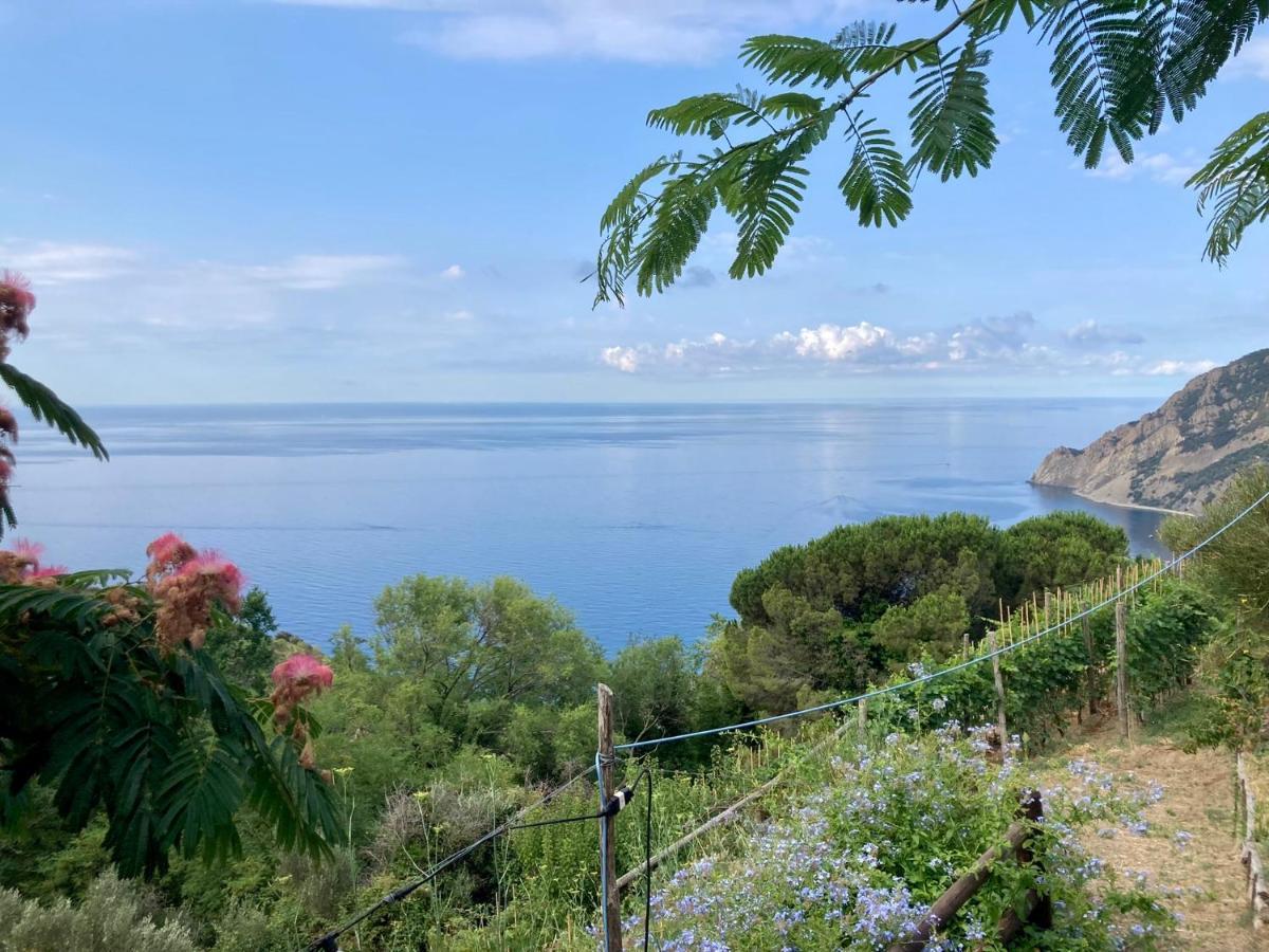 Villa Pietrafiore Monterosso al Mare Eksteriør billede