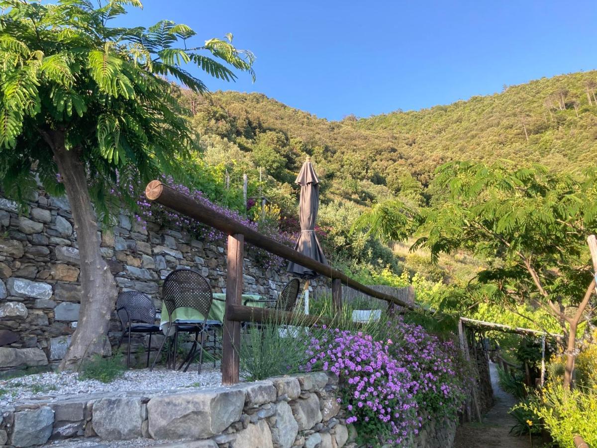 Villa Pietrafiore Monterosso al Mare Eksteriør billede