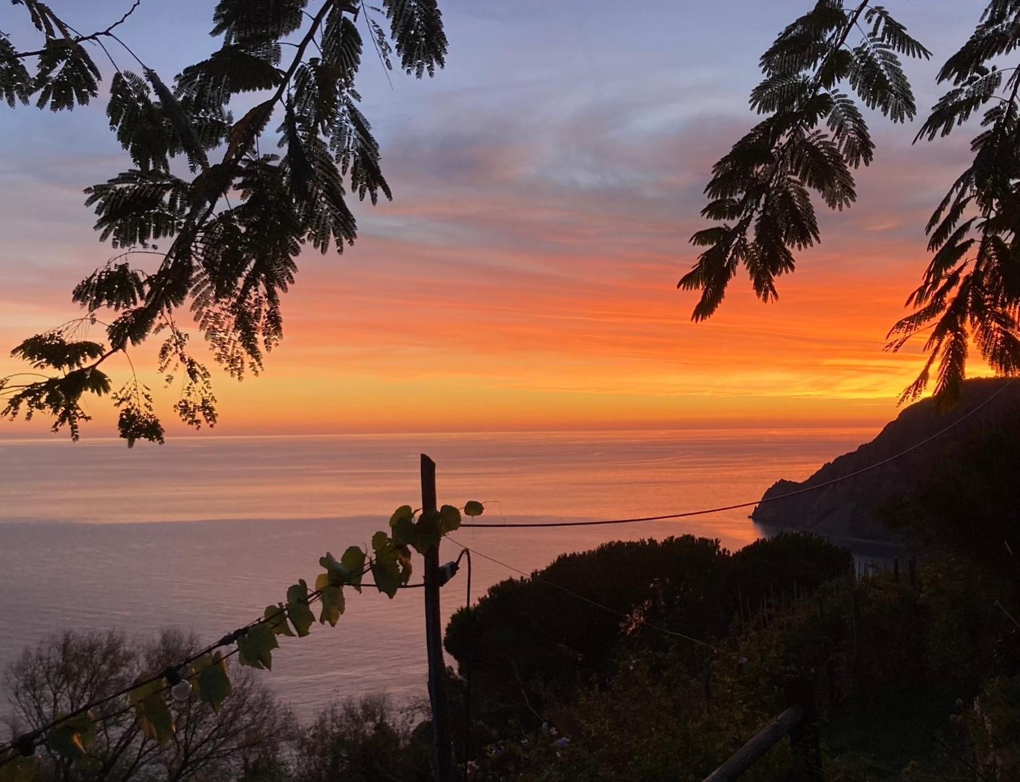 Villa Pietrafiore Monterosso al Mare Eksteriør billede