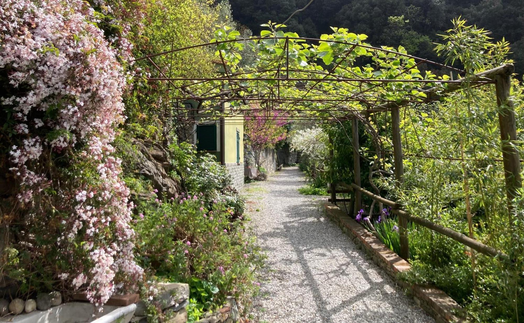 Villa Pietrafiore Monterosso al Mare Eksteriør billede