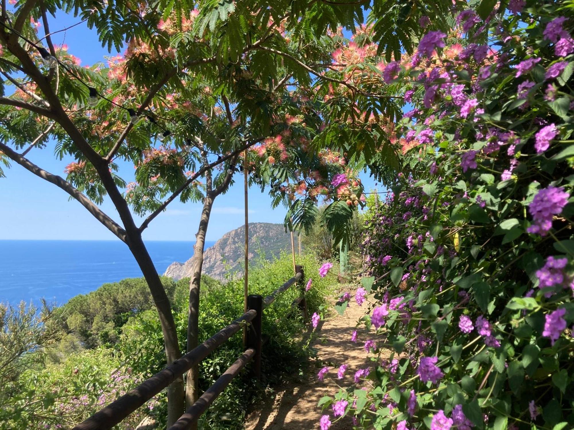 Villa Pietrafiore Monterosso al Mare Eksteriør billede