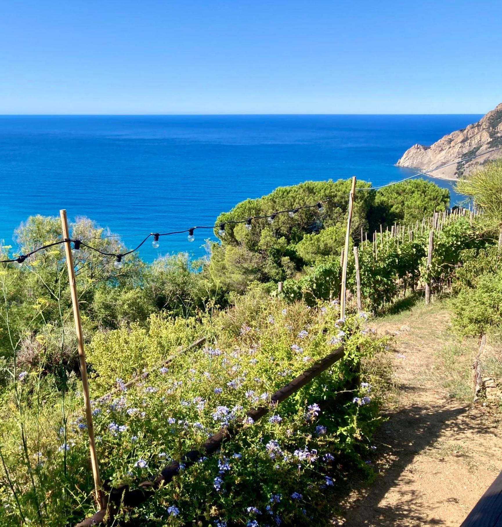 Villa Pietrafiore Monterosso al Mare Eksteriør billede