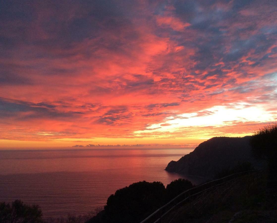 Villa Pietrafiore Monterosso al Mare Eksteriør billede