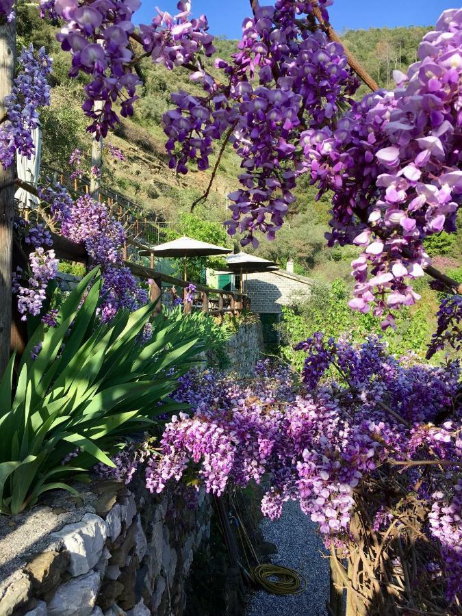 Villa Pietrafiore Monterosso al Mare Eksteriør billede